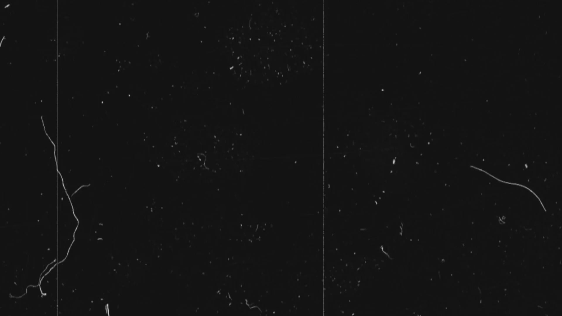 Charger la vidéo : Escape Games à la maison et Murder Party clé en main